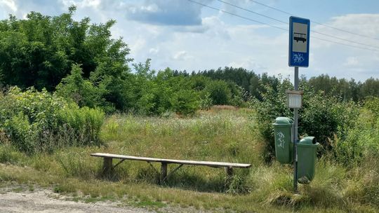 Mała rzecz, a ucieszy działkowiczów. Czekanie na autobus będzie przyjemniejsze 