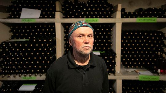 Mała Toskania nad Wisłą. Rodzinna, ekologiczna winnica, czyli pomysł na biznes w Lubelskiem