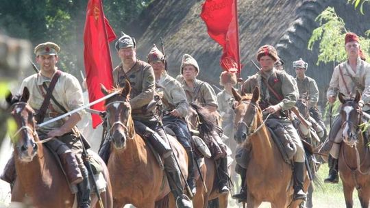 Maleje liczba hodowli koni w woj. lubelskim