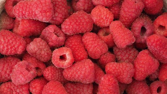 Maliny z plastikiem nie wjechały do Polski. Trwają kontrole produktów importowanych z Ukrainy