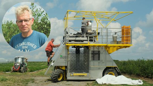 Mało chętnych do zbierania owoców. Zastąpi ich ta supermaszyna