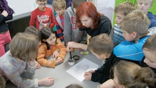 Mały detektyw w Galerii Labirynt