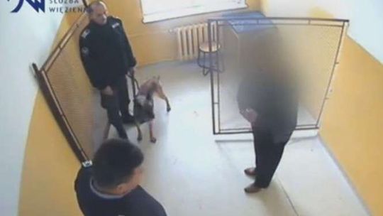 Mama przyniosła narkotyki do aresztu. Schowała je w biustonoszu