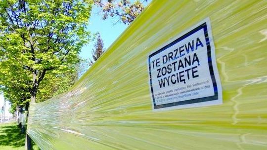 Mandaty za akcję w obronie drzew przy Al. Racławickich. Ale to nie koniec protestów