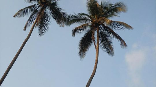 Marbella, Estepona, Benahavis – złoty trójkąt luksusowych nieruchomości na Costa del Sol