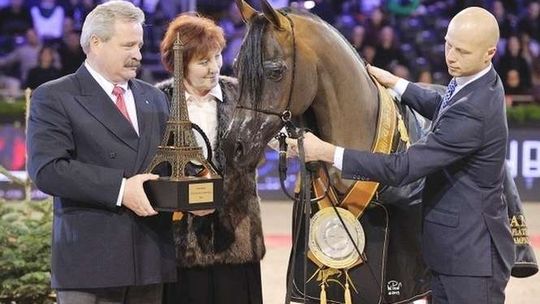 Marek Trela doradza szejkowi w Abu Dhabi