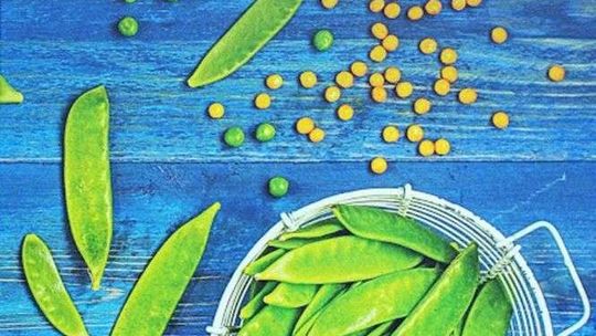 Maria Banach, „Strączki”