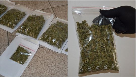 Marihuana i amfetamina. Sześciu mężczyzn odpowie za posiadanie narkotyków