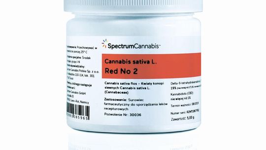 Marihuana medyczna trafiła do Polski, 65 zł za gram. Można ją kupić w Lublinie?