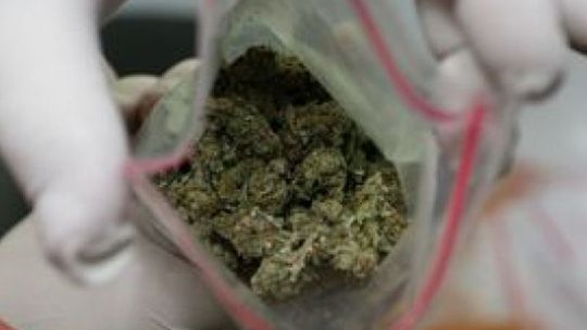 Marihuana w piekarniku, amfetamina w szafce