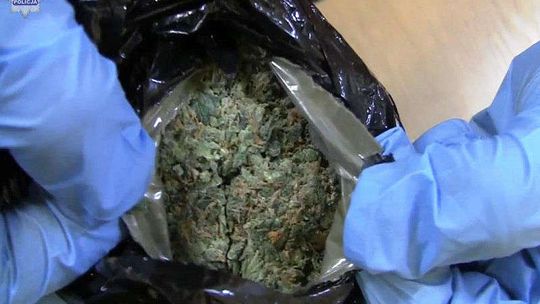 Marihuana w samochodzie. Trzech mężczyzn w areszcie (wideo)