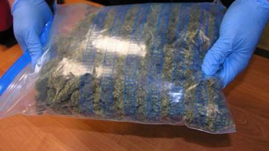 Marihuana warta 10 tys. zł u mieszkańca Białej Podlaskiej