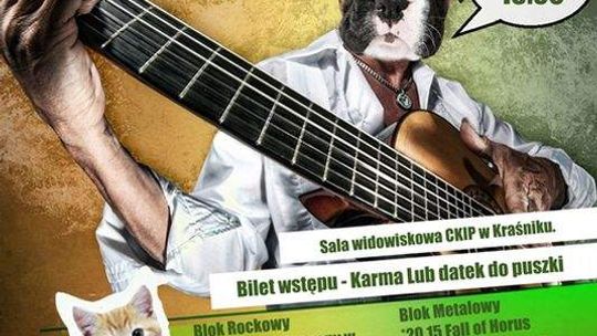 Martwa Mucha i inni dla psów z Rachowa