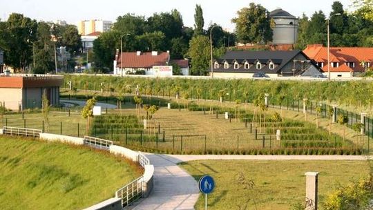 Martwica na Marinie. Dlaczego ziemia nie jest żyzna?