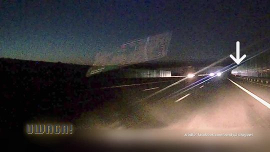 Martyna, Patryk i 5-letni Oliwier zginęli, wracając z wakacji. „Niewyobrażalne, zginęła cała rodzina, został tylko ich pies”