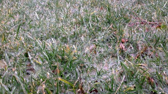 Marznący deszcz łamie gałęzie. Strażacy mają mnóstwo pracy