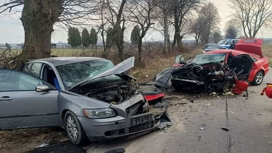 Masakra na drodze powiatowej. Śmiertelna czołówka w Cześnikach