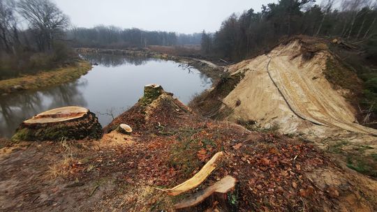Masakra nad Bugiem. Radny PiS pyta, gdzie są ekolodzy 
