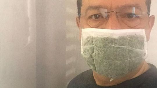 Maska z żywych roślin skuteczna na koronawirusa? Naukowcy prowadzą badania, aby to potwierdzić