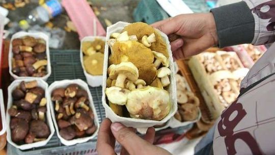 Maślak czy kania? Przepisy na potrawy z grzybami