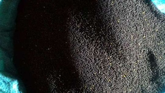 Matka i syn chcieli ukraść z ulicy pół tony rzepaku 