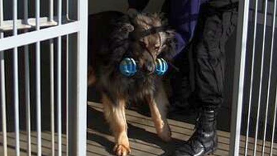 Mąż nożem i młotkiem potraktował samochód żony