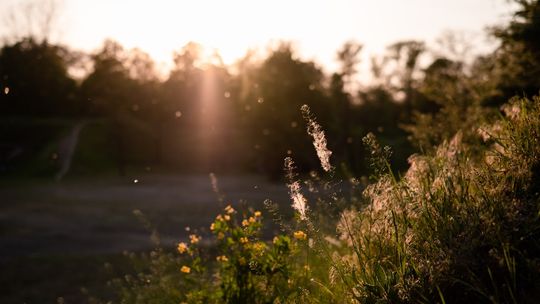leki na alergię bez recepty