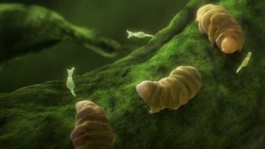 Męczą go na wszelkie sposoby – a on nic