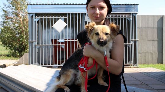 Medalistka olimpijska poprowadzi lekcje w szkole. Ale najpierw trzeba pomóc psom