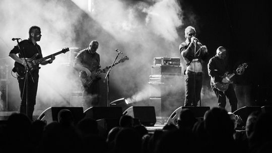 Medykalia: Na koniec Bracia Figo Fagot i Coma