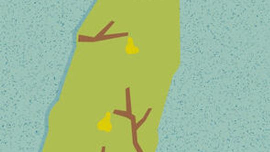 Melinda Nadj Abonji „Gołębie wzlatują”