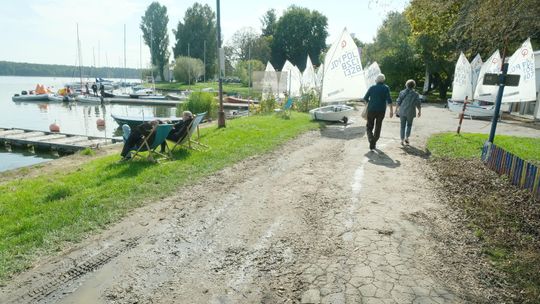 Metamorfoza nad Zalewem Zemborzyckim