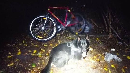 Mężczyzna już nie mógł samodzielnie się poruszać. Wtedy pojawił się funkcjonariusz z dobrym nosem