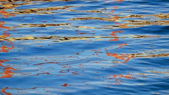 Mężczyzna topił się w sadzawce. Uratowały go policjantki