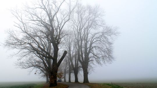 Mglisty poranek w Puławach [zdjęcia]