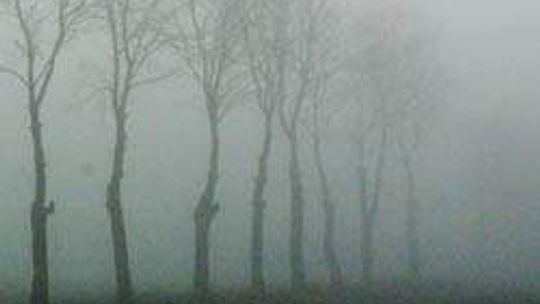 Mgły na Roztoczu (nr 75) - 0 głosów