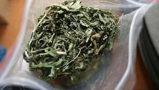 Miał 4 kilogramy marihuany w komodzie. 23-latek w areszcie