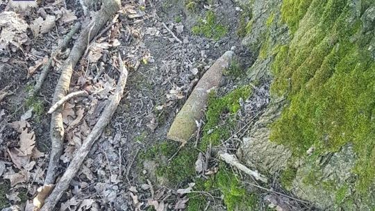 Miał być spacer do lasu w pow. świdnickim. Było wybuchowe znalezisko