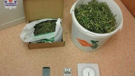 Miał kilogram marihuany w domu. 30-latek w areszcie