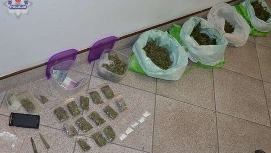 Miał prawie kilogram marihuany na posesji