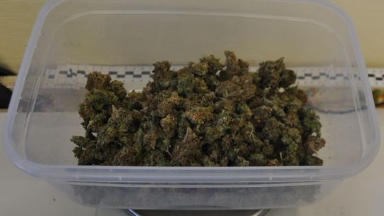 Miał skrytkę w garażu. 28-latek odpowie za posiadanie "znacznych ilości" narkotyków