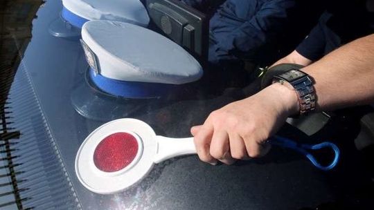 Miał trzy promile i rozbił się na drzewie. Winę zgonił na sarnę