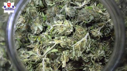 Miał w domu 2,5 kilograma marihuany. Policjanci znaleźli coś jeszcze
