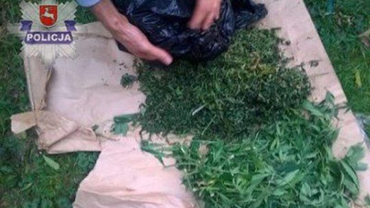 Miał w domu linię technologiczną do uprawy konopi