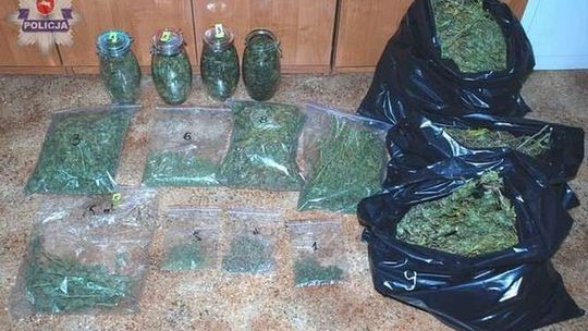 Miał w domu prawie 4 kilogramy marihuany (wideo)