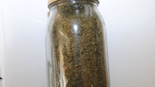 Miał wszystko co trzeba, aby handlować marihuaną. Trafi za kraty