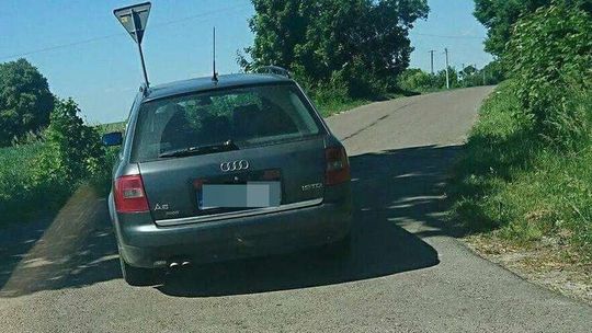 Miał wyrzucić psa z samochodu. Został zatrzymany