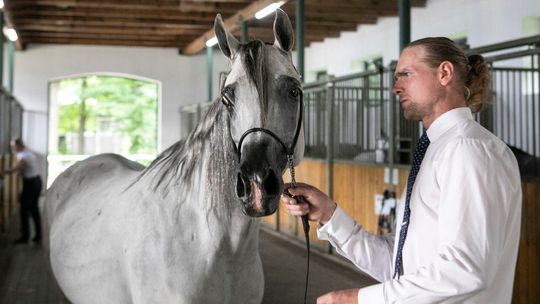 Miały być rekordowe nagrody, ale na razie hodowcy najlepszych koni pieniędzy nie dostali 