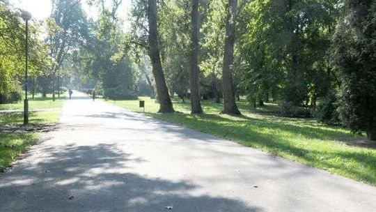 Miasto chce odnowić park Ludowy. Prace pochłoną ok. 18 mln zł