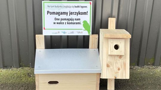 Miasto dba o dzikie zwierzęta. Zaproś do siebie jerzyka